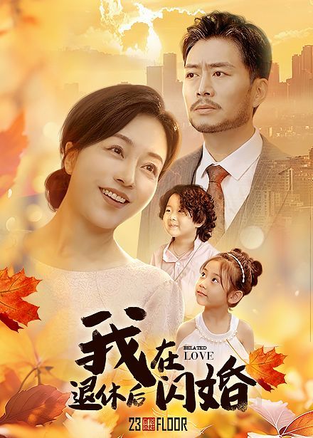 我在退休后闪婚 2024 短剧 海报