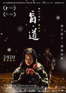 盲·道 2017 电影 海报