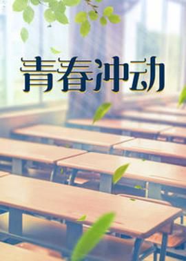 青春冲动 2005 电视剧 海报
