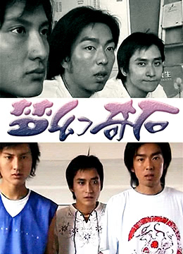 梦幻奇石 2005 电影 海报