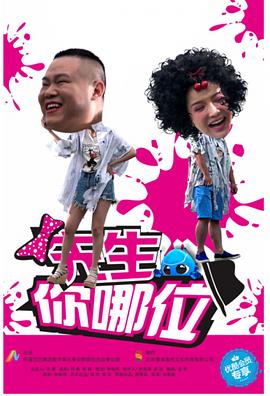 先生，你哪位 2016 电视剧 海报