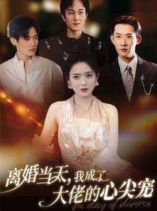 离婚当天我成了大佬的心尖宠 2024 短剧 海报