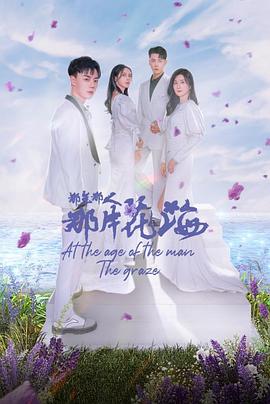 那年那人那片花海 2023 电视剧 海报