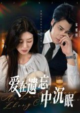 爱在遗忘中沉眠 2025 短剧 海报