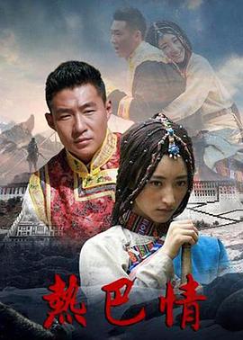 热巴情 2010 电视剧 海报