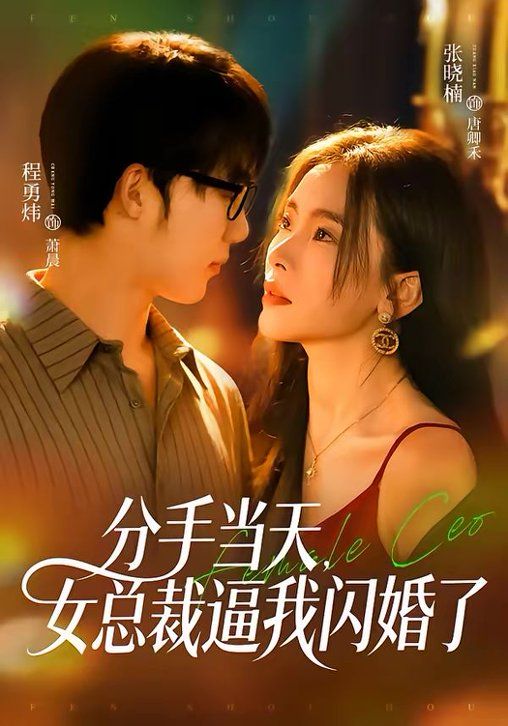 分手当天，女总裁逼我闪婚了 2026 短剧 海报