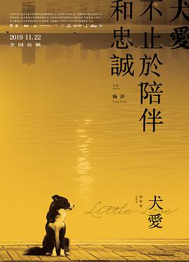 犬爱 2019 电影 海报