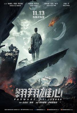 翱翔雄心（普通话) 2018 电影 海报