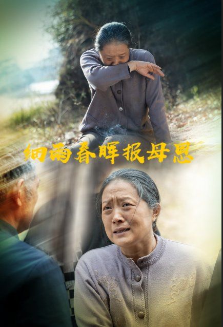 细雨春晖报母恩 2025 短剧 海报