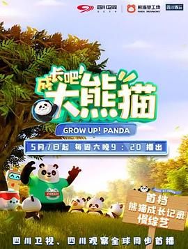成长吧！大熊猫 2022 电影 海报