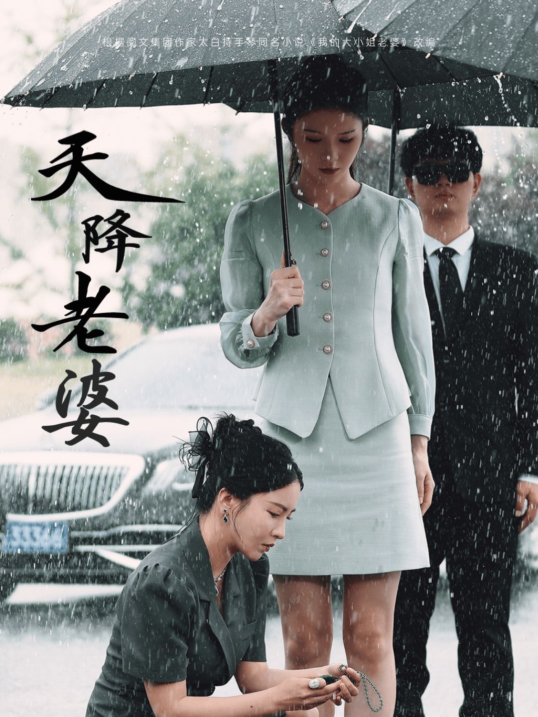 天降老婆 2024 短剧 海报