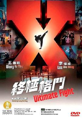 终极格斗（粤语版） 2004 电影 海报