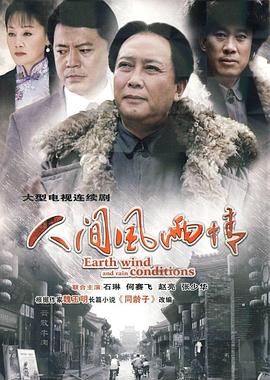 人间风雨情 2010 电视剧 海报