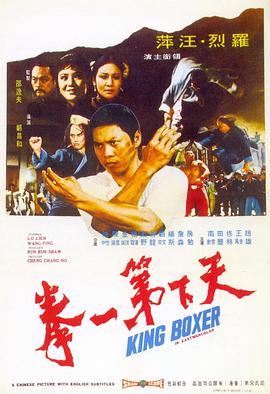 天下第一拳 1972 电影 海报