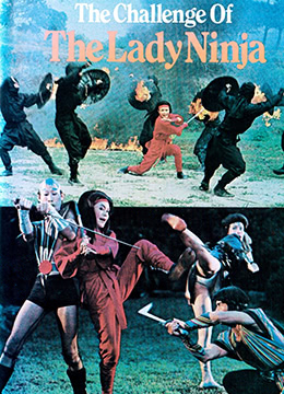 浪女神龙剑 1983 电影 海报