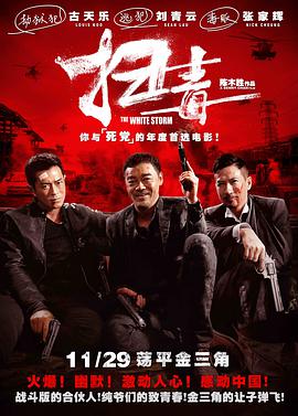 扫毒（国语版） 2013 电影 海报