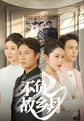 不负故乡月 2025 短剧 海报