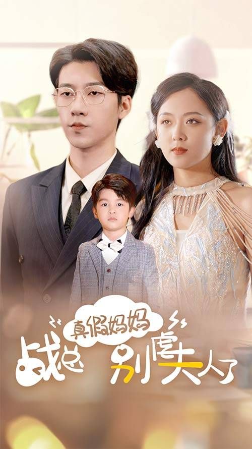 真假妈妈战总别虐夫人了 2024 短剧 海报