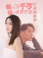 老公拆资千万请我帮他打离婚官司 2024 短剧 海报
