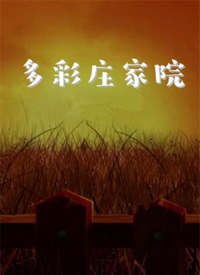 多彩庄家院 2019 电视剧 海报