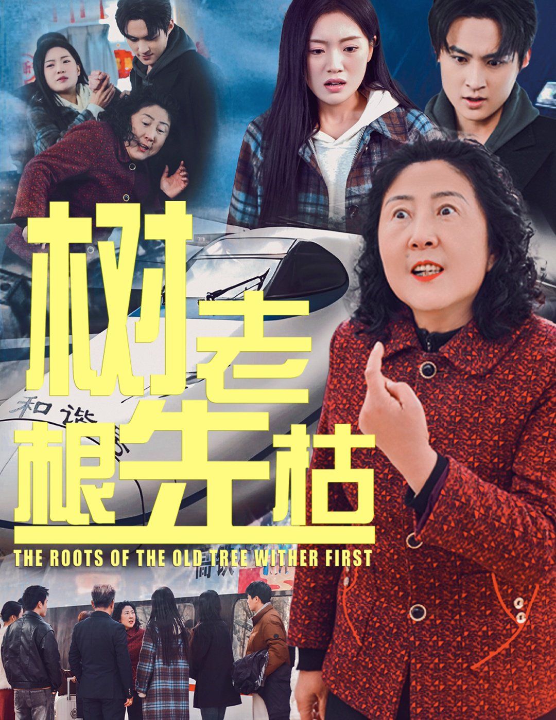 树老根先枯 2025 短剧 海报