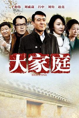 大家庭 2012 电视剧 海报