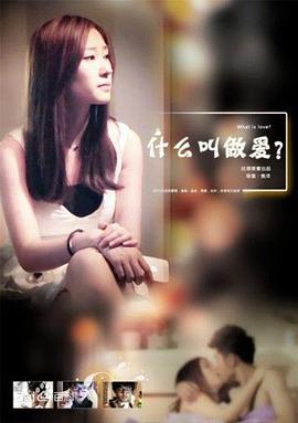 什么叫做爱 2013 电影 海报