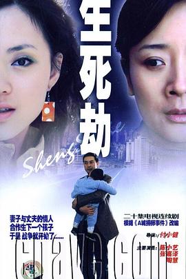 生死劫 2005 电视剧 海报