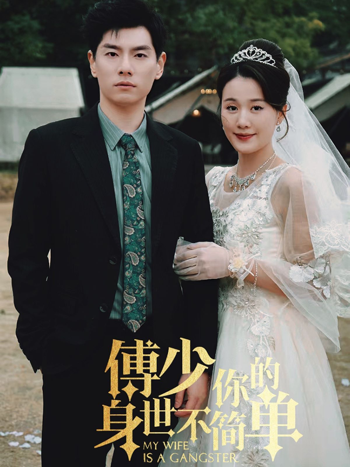 傅少你的身世不简单 2024 短剧 海报