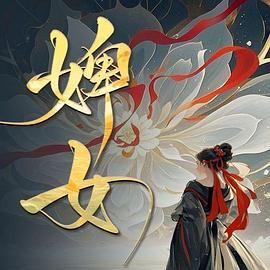 婢女 2025 电视剧 海报