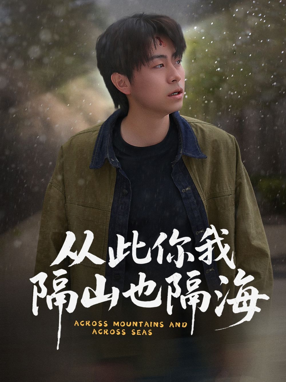 从此你我隔山也隔海 2025 短剧 海报