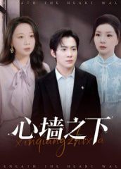 心墙之下 2025 短剧 海报