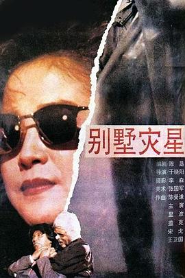别墅灾星 1991 电影 海报