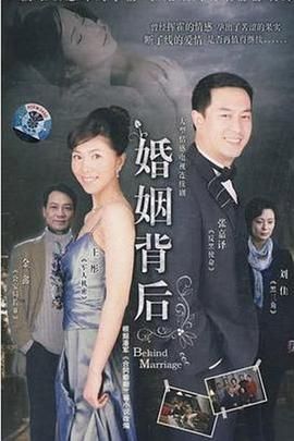 婚姻背后 2008 电视剧 海报