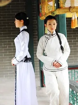 宅门里的女人们 2012 电影 海报