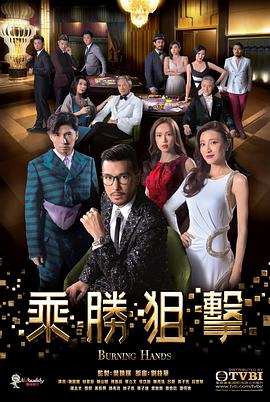 乘胜狙击 普通话版 2017 电视剧 海报