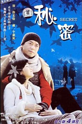 秘密 2006 电视剧 海报