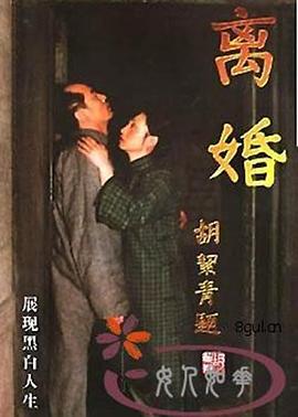 离婚 1999 电视剧 海报