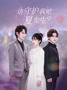 请守护我吧夏先生 2025 短剧 海报