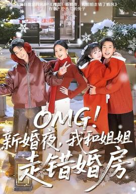 新婚夜，我和姐姐走错婚房 2025 短剧 海报