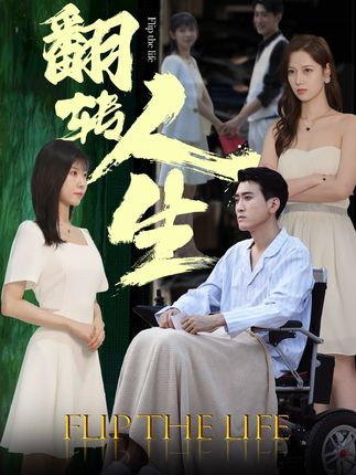 翻转人生短剧 2024 短剧 海报