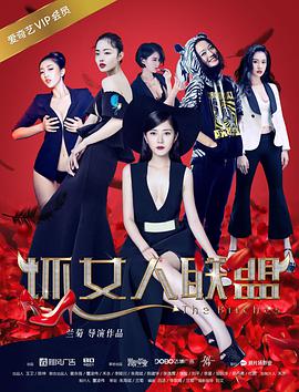 坏女人联盟 2017 电影 海报