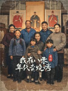 穿越六零带着好运系统养全家 2025 短剧 海报