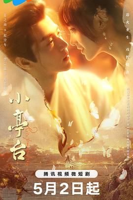 小亭台 2024 电视剧 海报