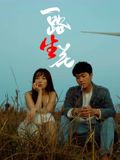 一路“生”花 2025 电影 海报
