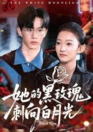 她的黑玫瑰刺向白月光 2025 短剧 海报
