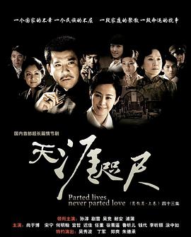 天涯咫尺 2008 电视剧 海报