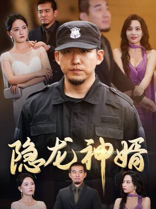 隐龙神婿 2024 短剧 海报