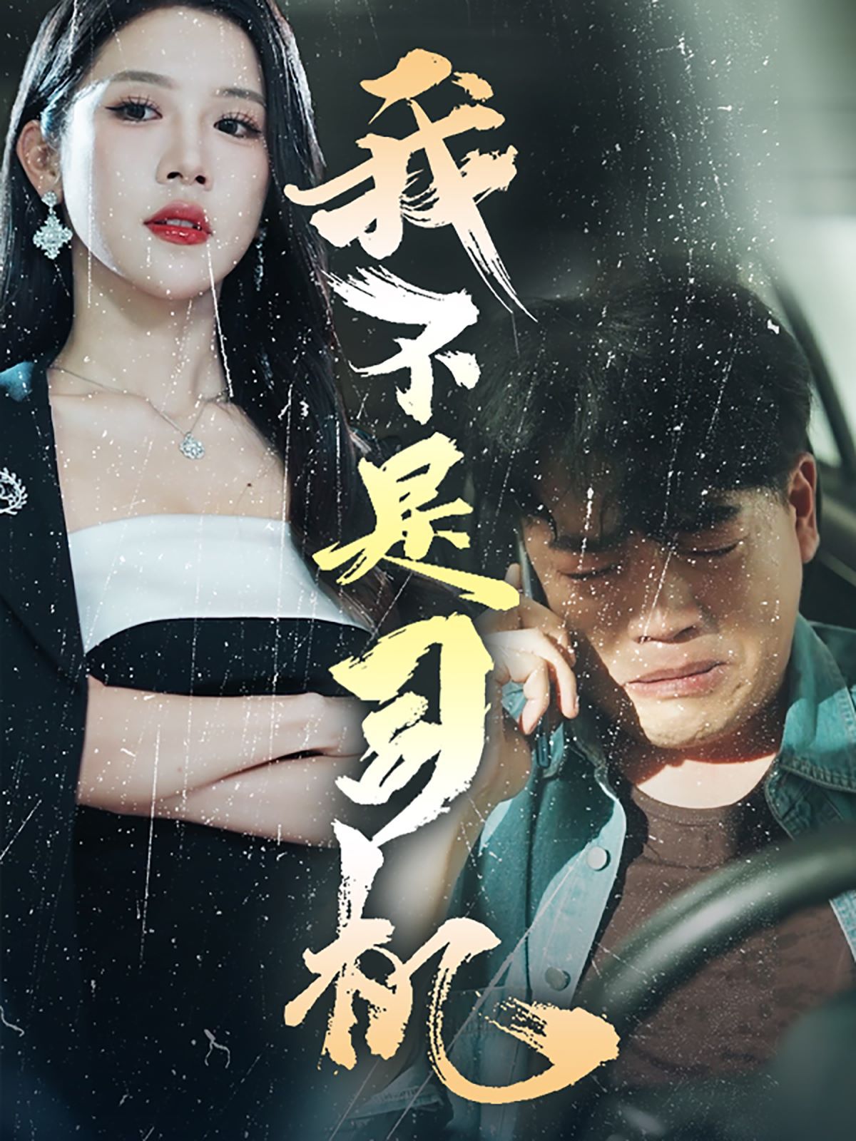 我不是司机 2024 短剧 海报