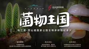 菌物王国 2023 纪录片 海报